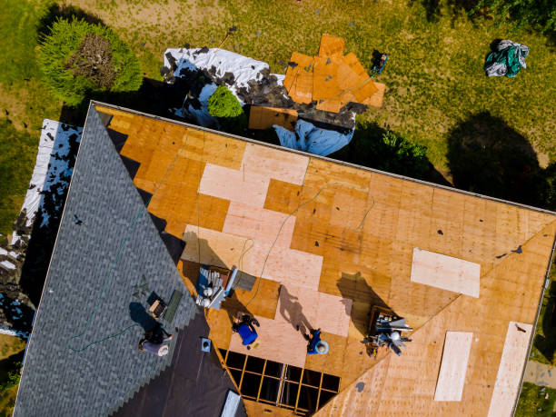 Best Roof Maintenance Services  in Carleton, MI