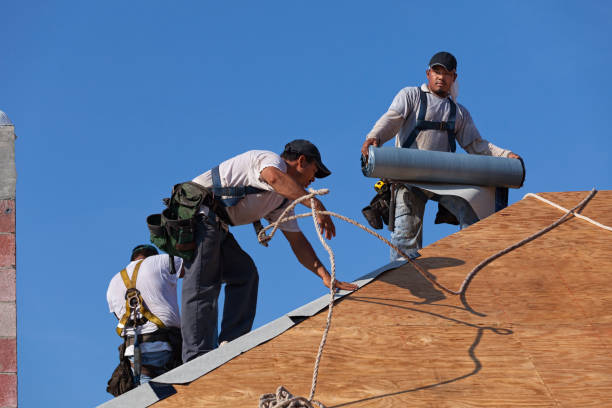 Best Metal Roofing Contractor  in Carleton, MI